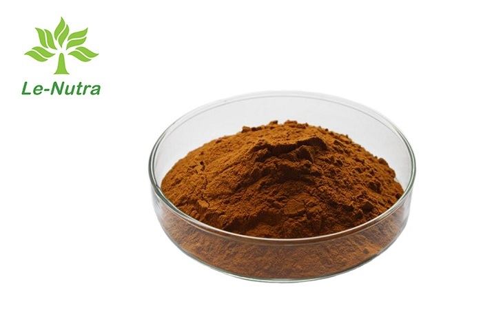 Natural Dandelion Extract