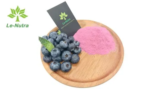 Succo di mirtillo naturale in polvere